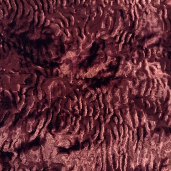 NWT WHITE HOUSE BLACK MARKET FAUX PERSIAN LAMB WOMENS COAT SZ XS PETITE $298 NEW - Picture 5 of 7